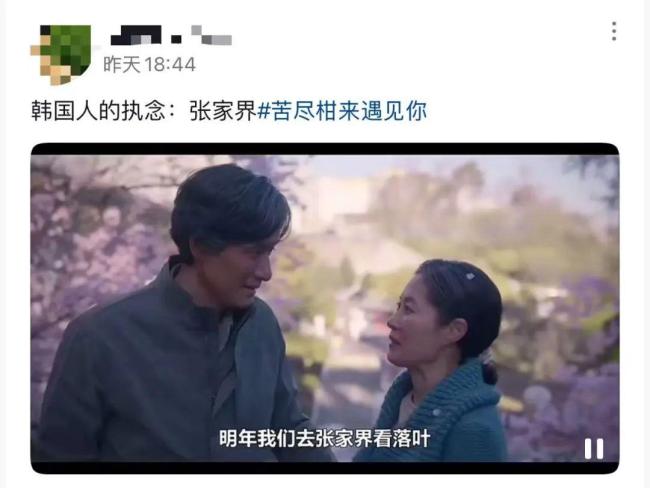韩国人有多喜欢张家界 尽孝圣地成热门