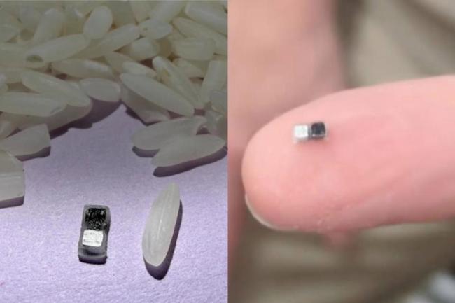 世界最小心脏起搏器比米粒还小