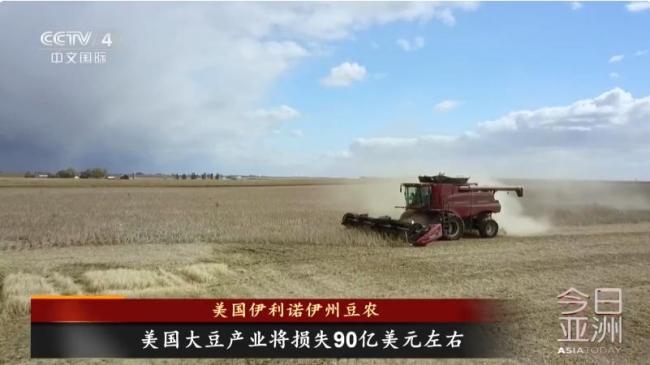 美国豆农哭了：这个国家完蛋了 中国转向巴西大豆
