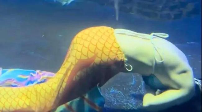 溺水“美人鱼”回应事故原因 脚蹼脱落导致