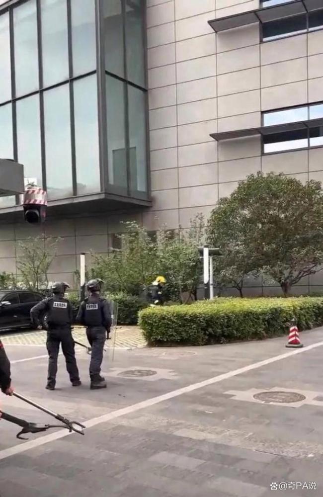江苏台报道野猪冲进江苏电视台 画面曝光 新闻直播变“动物世界”