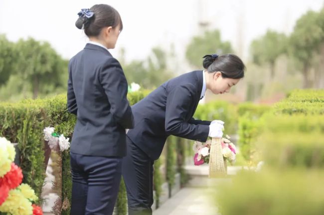 洛阳00后女孩从事扫墓职业 勇敢选择新兴职业