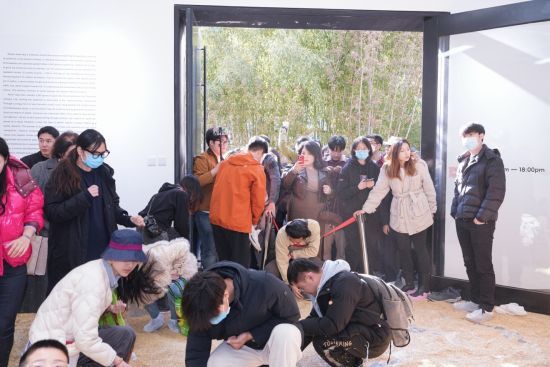 艺术家撒1000粒黄金米请观众淘金 引发消费主义反思