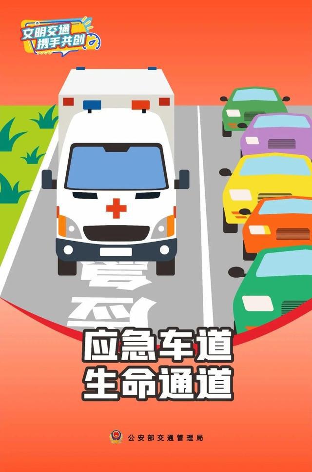 记9分、肋骨多处骨折，只为捡个脸盆 高速路上严禁随意停车