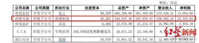 IPO辅导3年，和邦生物终止分拆武骏光能上市