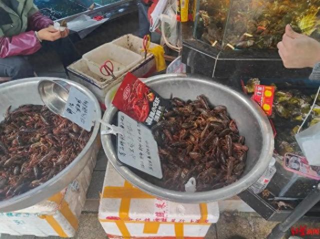 成都小龙虾价格或将跌到个位,批发价较一个月前已降近半