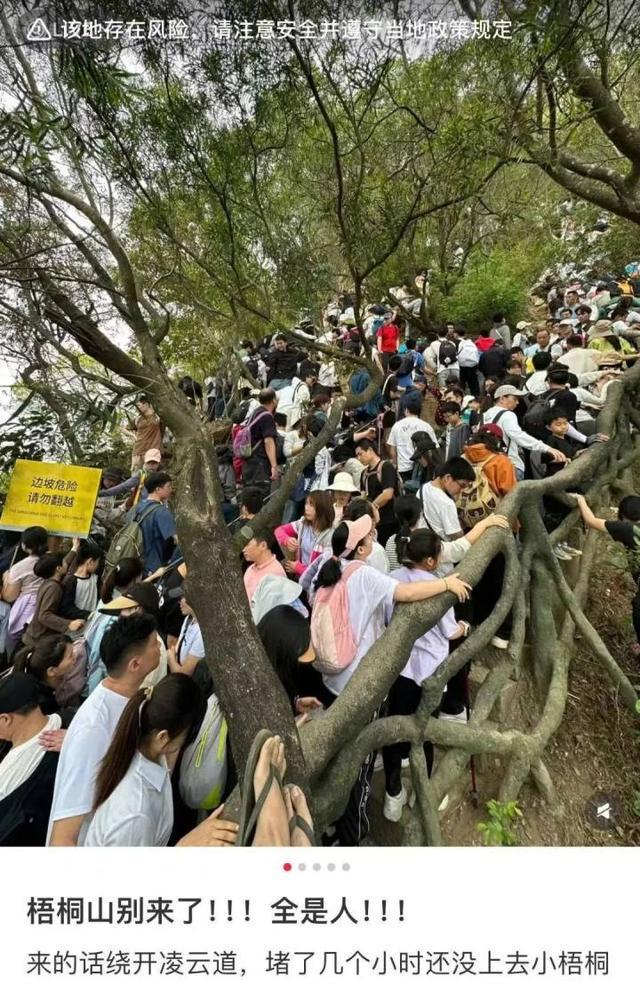 约满、限流！第一批游客抵达，多地紧急提醒……