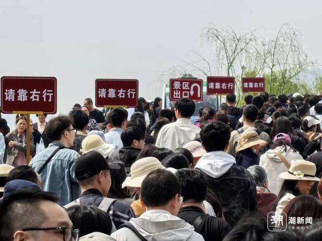 约满、限流！第一批游客抵达，多地紧急提醒……