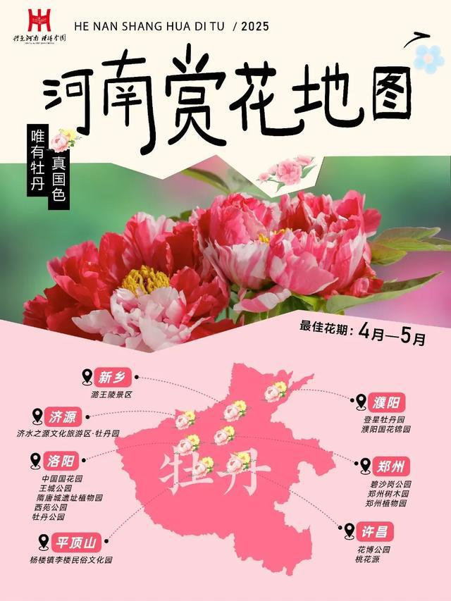 易堵路段有哪些？河南高速交警发布返程提示；河南牡丹赏花地图来了｜大象早报