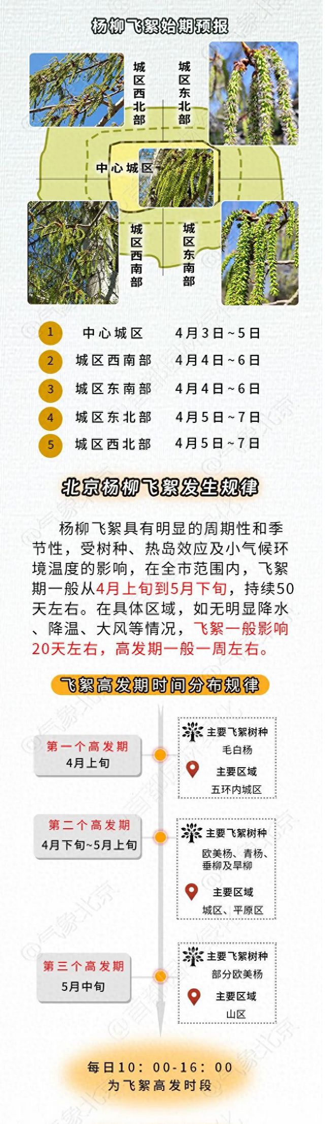 飞҉絮҉又҉来҉了҉！持续50天左右，如何应对？