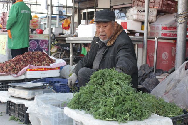 范县：春日野菜俏销，“春鲜”正当时