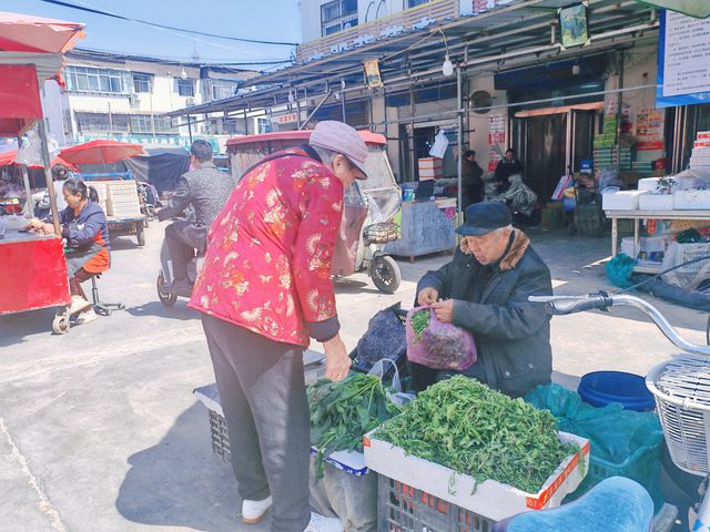 范县：春日野菜俏销，“春鲜”正当时