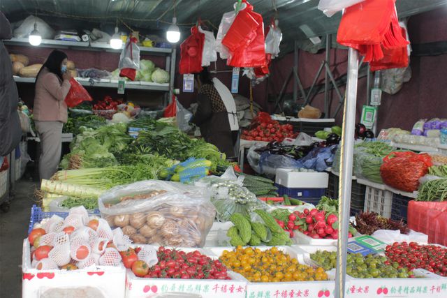 范县：春日野菜俏销，“春鲜”正当时