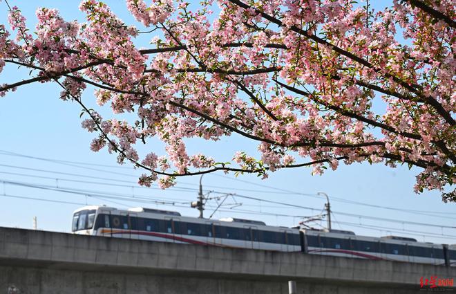2024年度城市轨道交通统计报告发布，成都地铁多项指标居全国前列