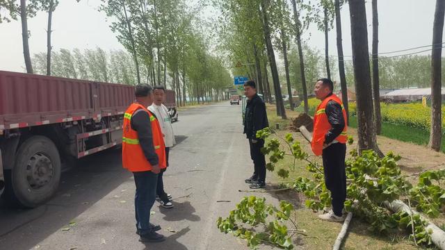 【象商迎“风”】商丘市交通运输局：抗风除险保畅通