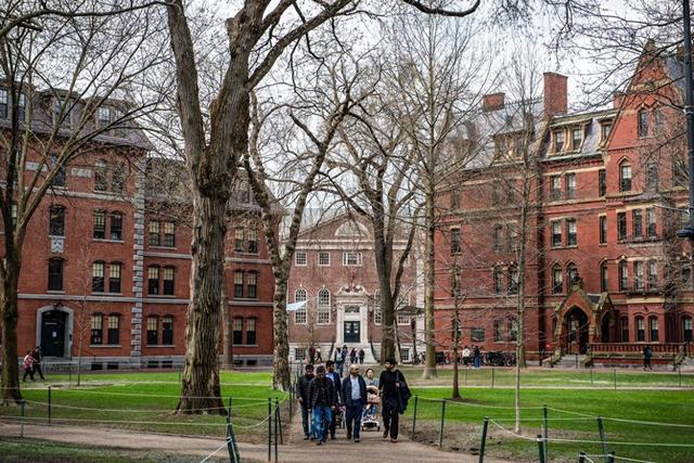 哈佛大学就资金被冻结起诉特朗普政府
