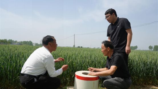 南阳市宛城区：无人机“飞防”助春耕 科技赋能小麦稳产增收