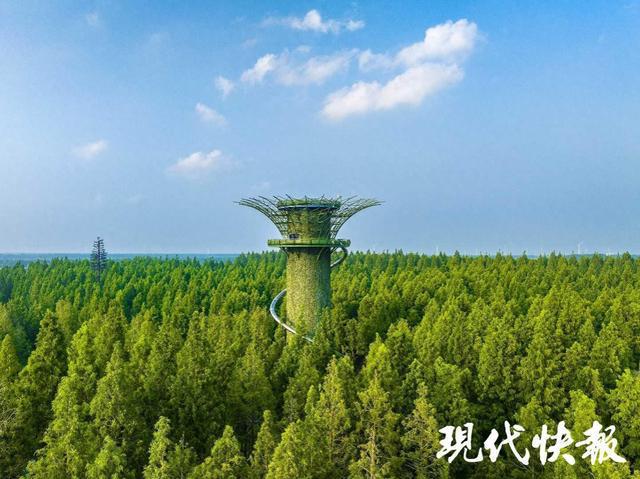 2025年全国重点媒体盐城行｜大美盐城，生态湿地好风光