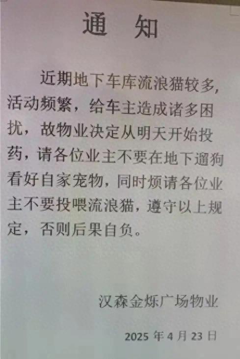 小区发通知将对地下车库流浪猫投药，涉事物业回应