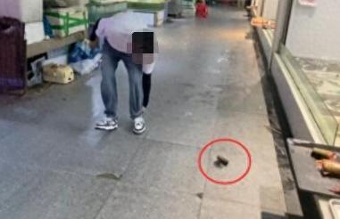 顾客买鱼不杀遭扔秤砣 商贩被行拘12天