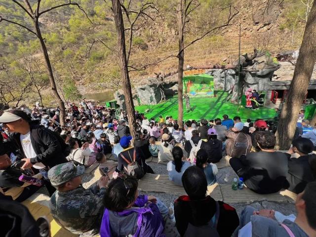 看山听水赏花香！辉县五一撒欢攻略 →