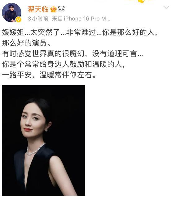 翟天临和网友吵起来了