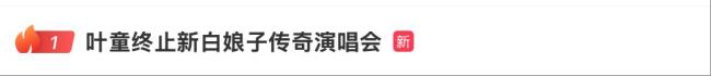 叶童深夜发文