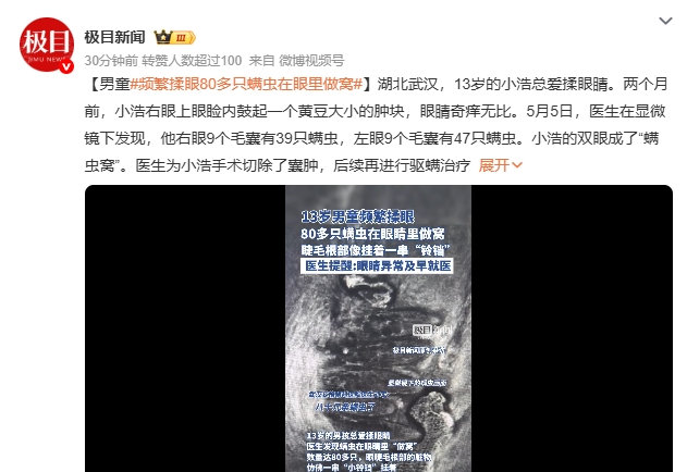 微信截图_20250509092654