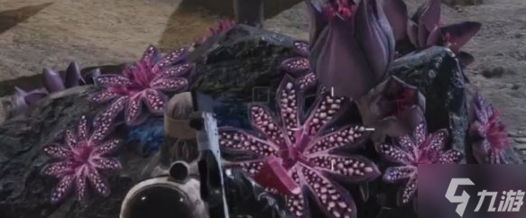 七日世界芽孢争夺怎么玩 芽孢争夺玩法攻略
