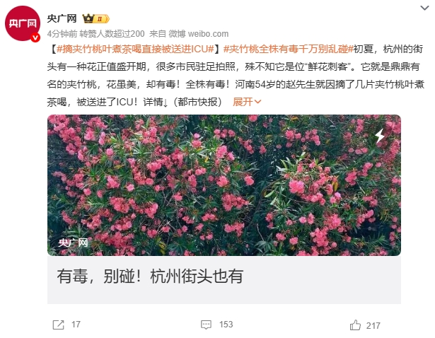 微信截图_20250513093709