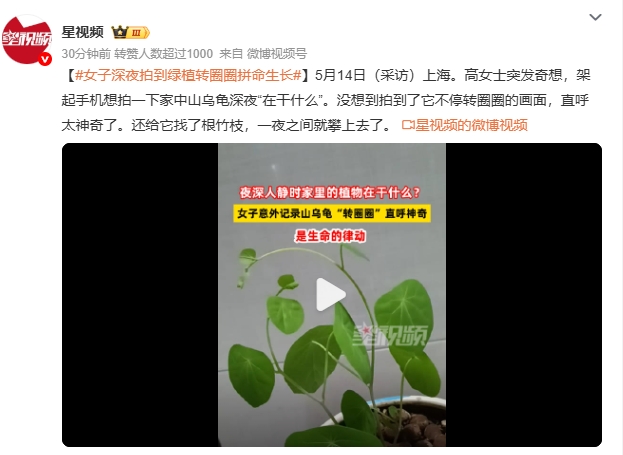 微信截图_20250516094551