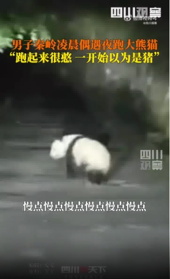 微信截图_20250519092707
