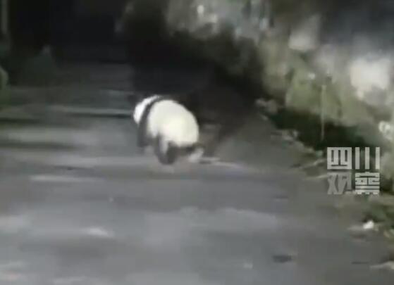 QQ截图20250519153906