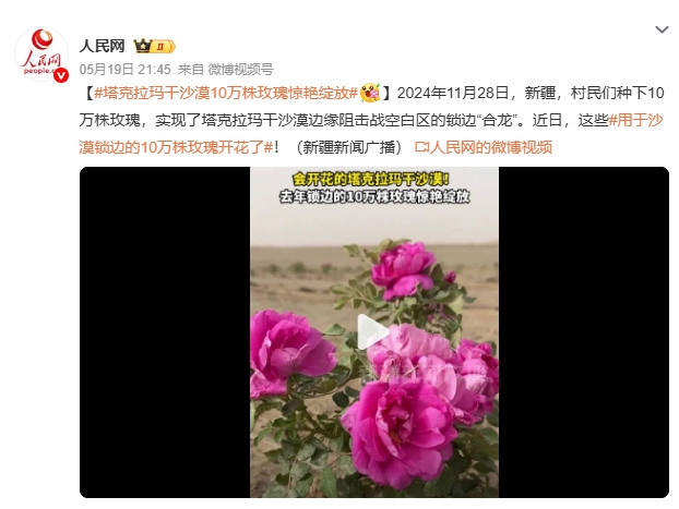 微信截图_20250520092722