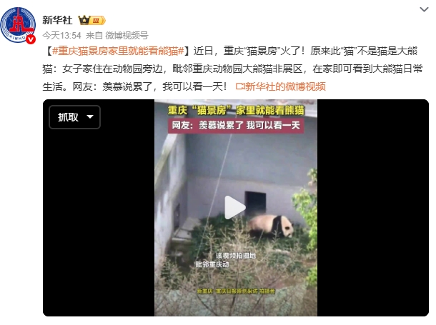 微信截图_20250520163402