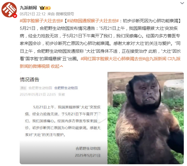 微信截图_20250522092558