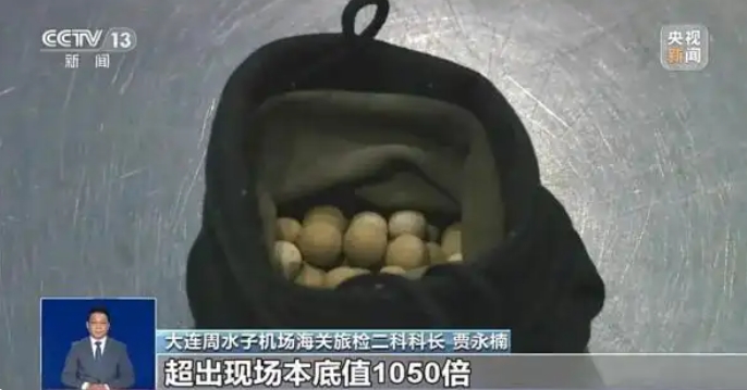 微信截图_20250526104608