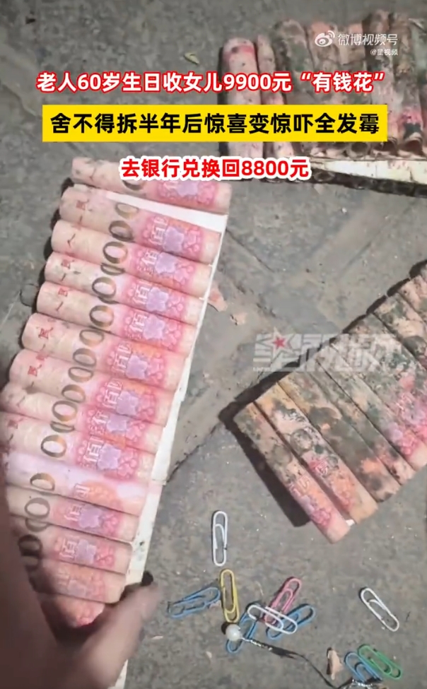 微信截图_20250527164206