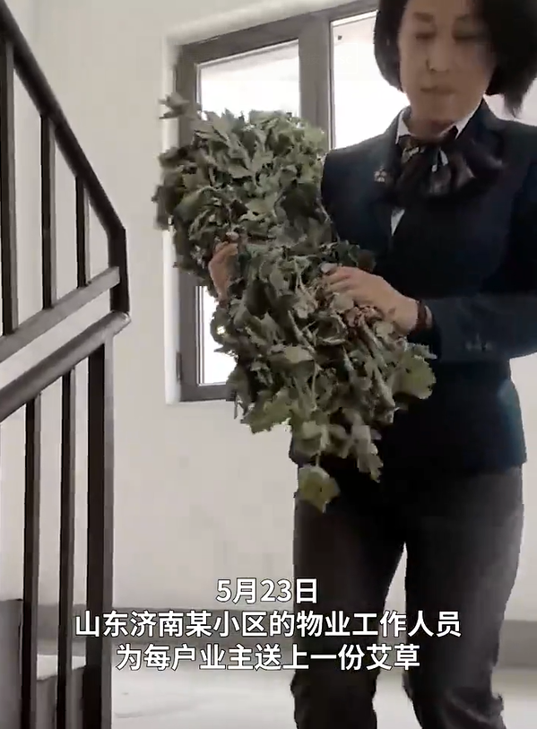 一小区为四千户业主送艾草 端午未到“艾”先至！