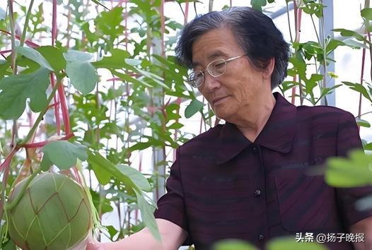 埃文凯尔看望吴明珠奶奶 西瓜科研背后的感人故事