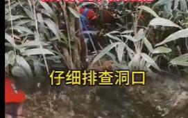 8岁男孩登山时与父母失联已14天