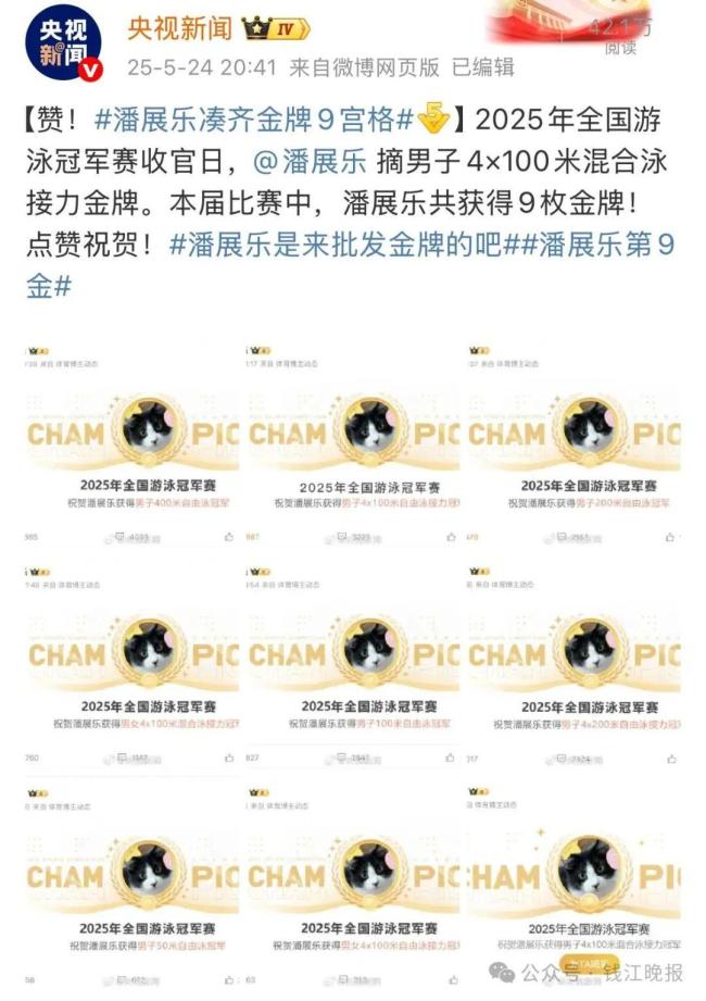 潘展乐8天拿下9金 接力赛再添辉煌