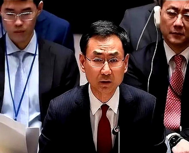 网友联合国偶遇耿爽：每次发言都很帅！