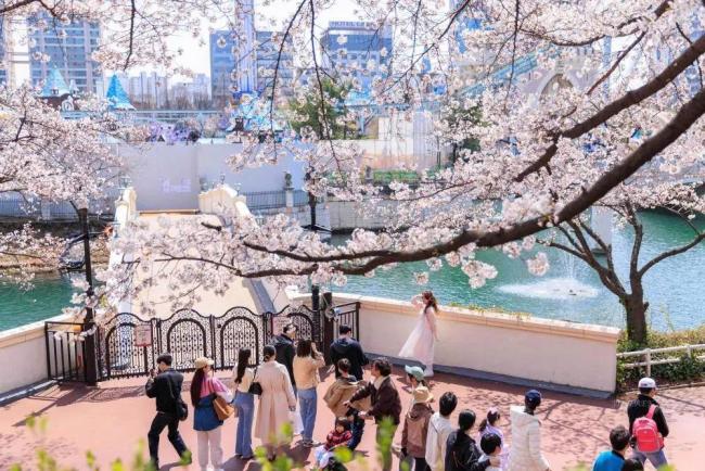 韩国结婚最高可获2000万韩元奖励 应对低生育率挑战