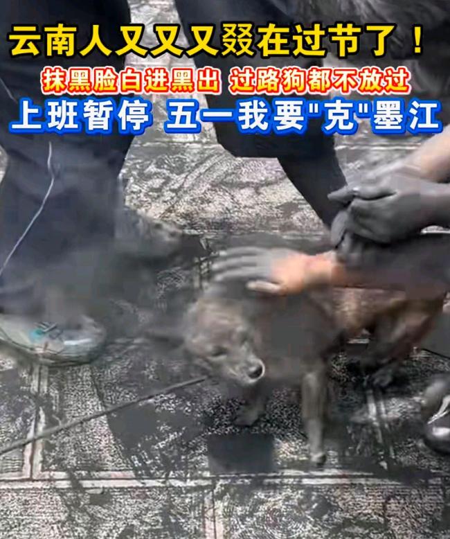 云南人：谁都别想白着回去 咖啡粉引领狂欢