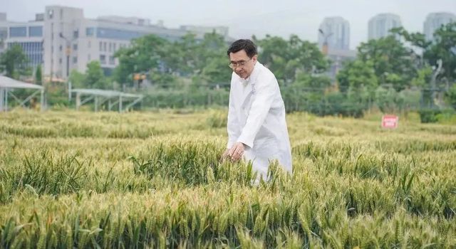 2024年河南省“最美科技工作者”名单发布