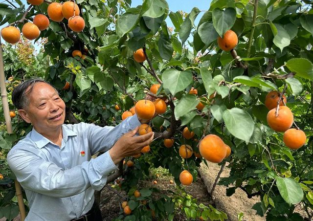 2024年河南省“最美科技工作者”名单发布