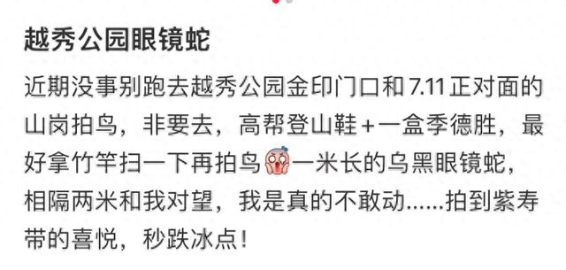 网友称广州越秀公园有眼镜蛇出没，工作人员：公园会定期抓蛇