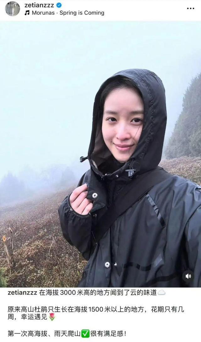 31岁“奶茶妹妹”章泽天晒旅行照,在山间徒步邂逅高山杜鹃
