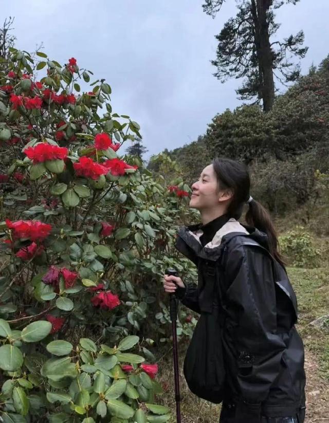 31岁“奶茶妹妹”章泽天晒旅行照,在山间徒步邂逅高山杜鹃